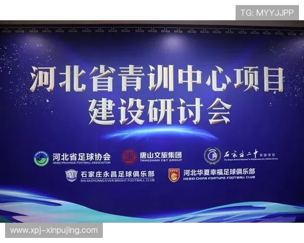 棒球赛事在国内升温，青训体系开始发力